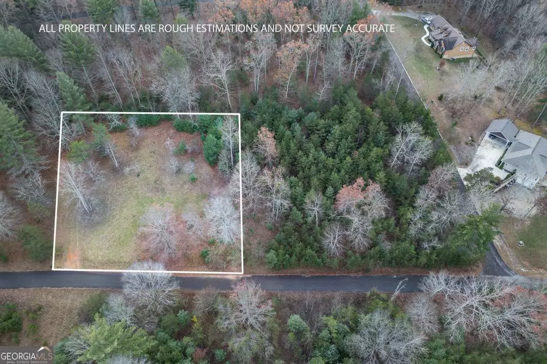 Blairsville, GA 30512,LOT 7 B & W Ranch RD #LOT 7