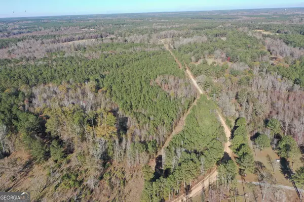 Warrenton, GA 30828,0 Wilson RD