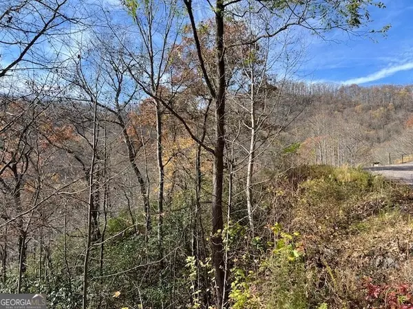 Hiawassee, GA 30546,LOT 19 The Highlands at Hightower Ridge