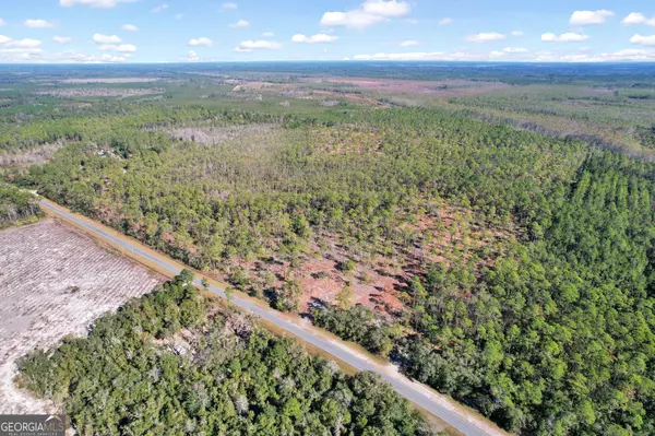 Waynesville, GA 31566,TRACT 2 Old State Route