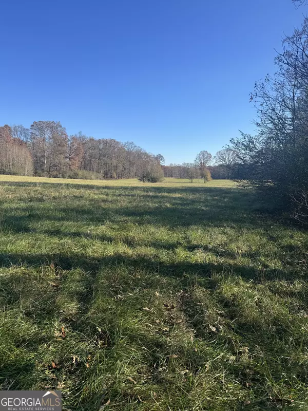 Statham, GA 30666,2451 Oakley TRL