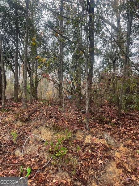 0000 Evergreen, Ivey, GA 31031