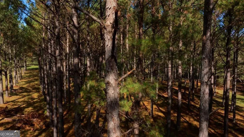 0 Bethel RD #TRACT 8, Sylvania, GA 30467