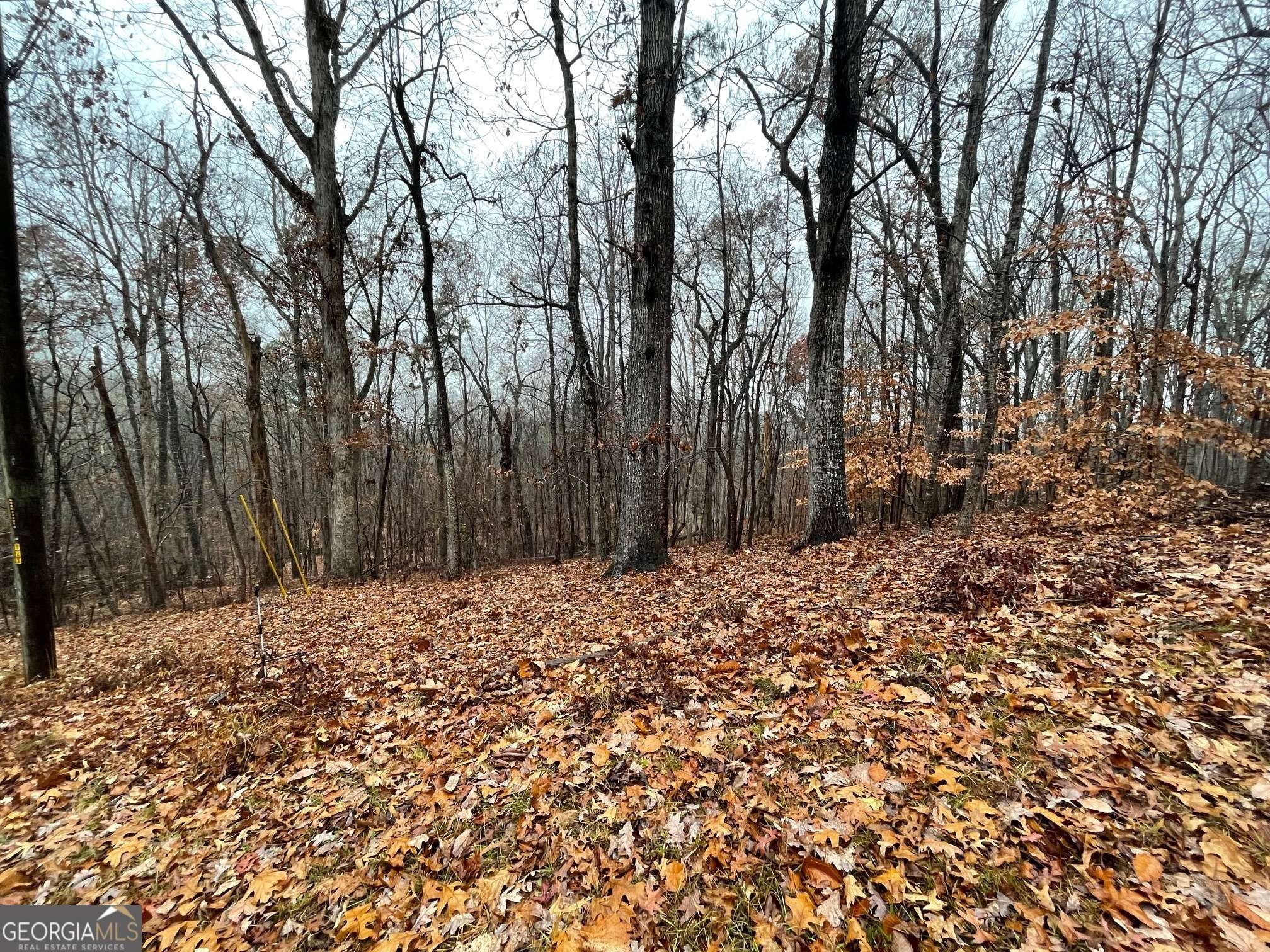 Westminster, SC 29693,0 S Arrowhead Drive Lot 2134
