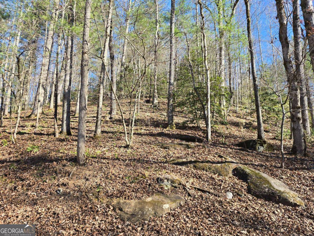 Hiawassee, GA 30546,LOT 67 Hi River Country #67