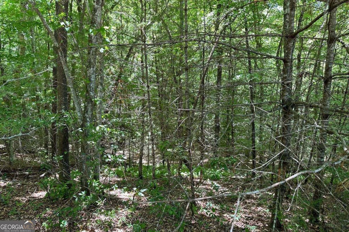 Hayesville, NC 28904,LOT 8 Moore Acres
