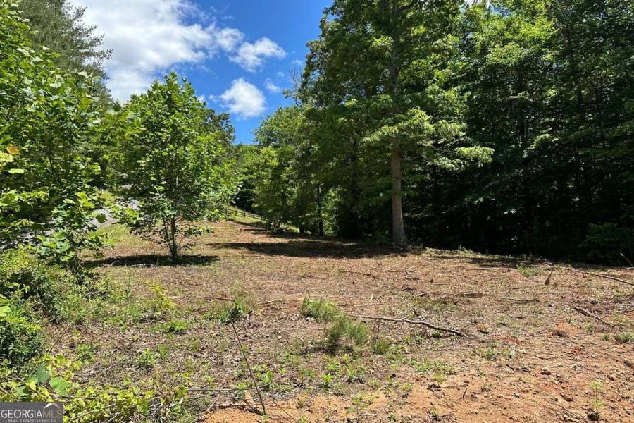 LOT 8 Moore Acres, Hayesville, NC 28904