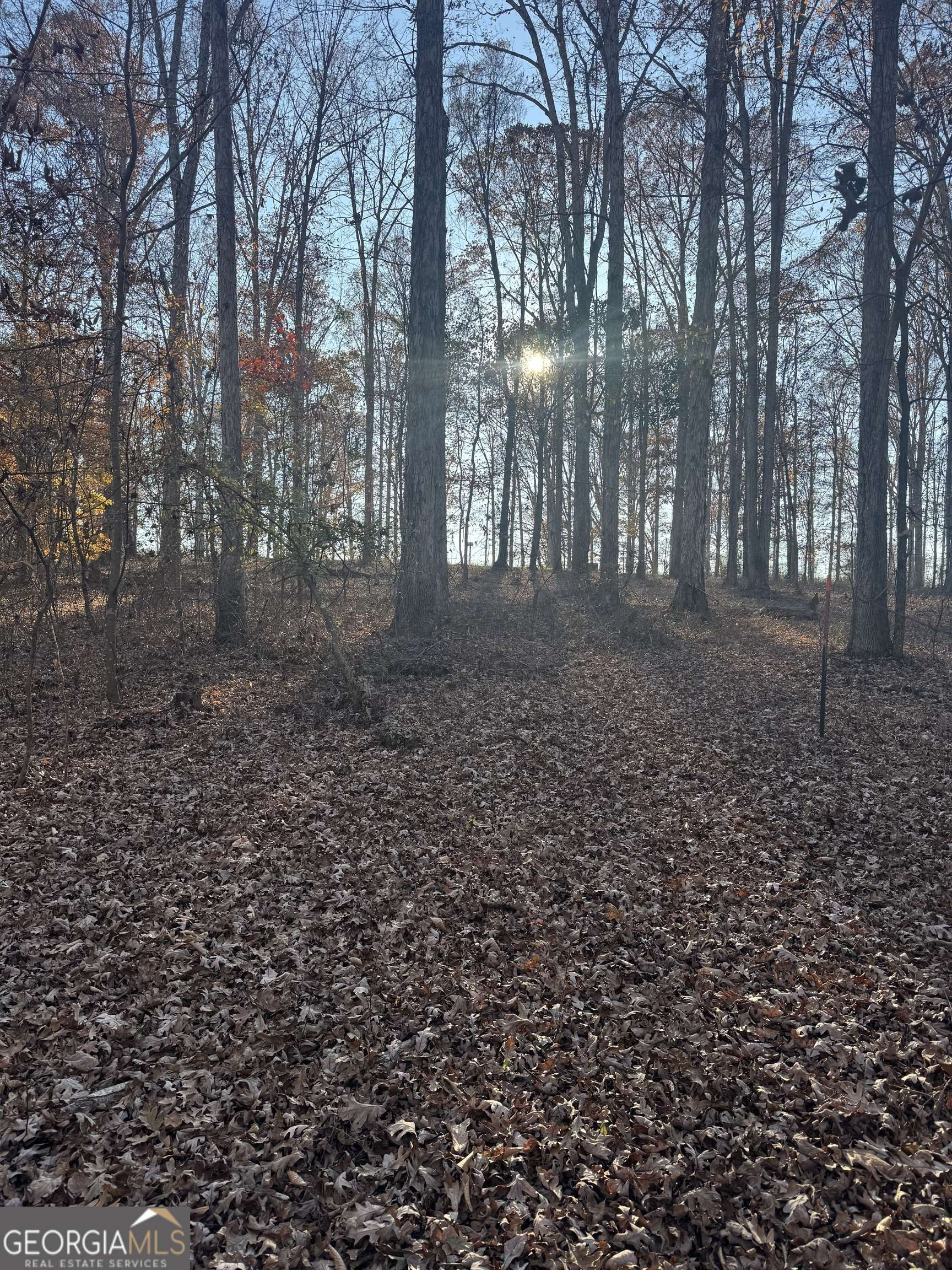Statham, GA 30666,1475 Whispering Way