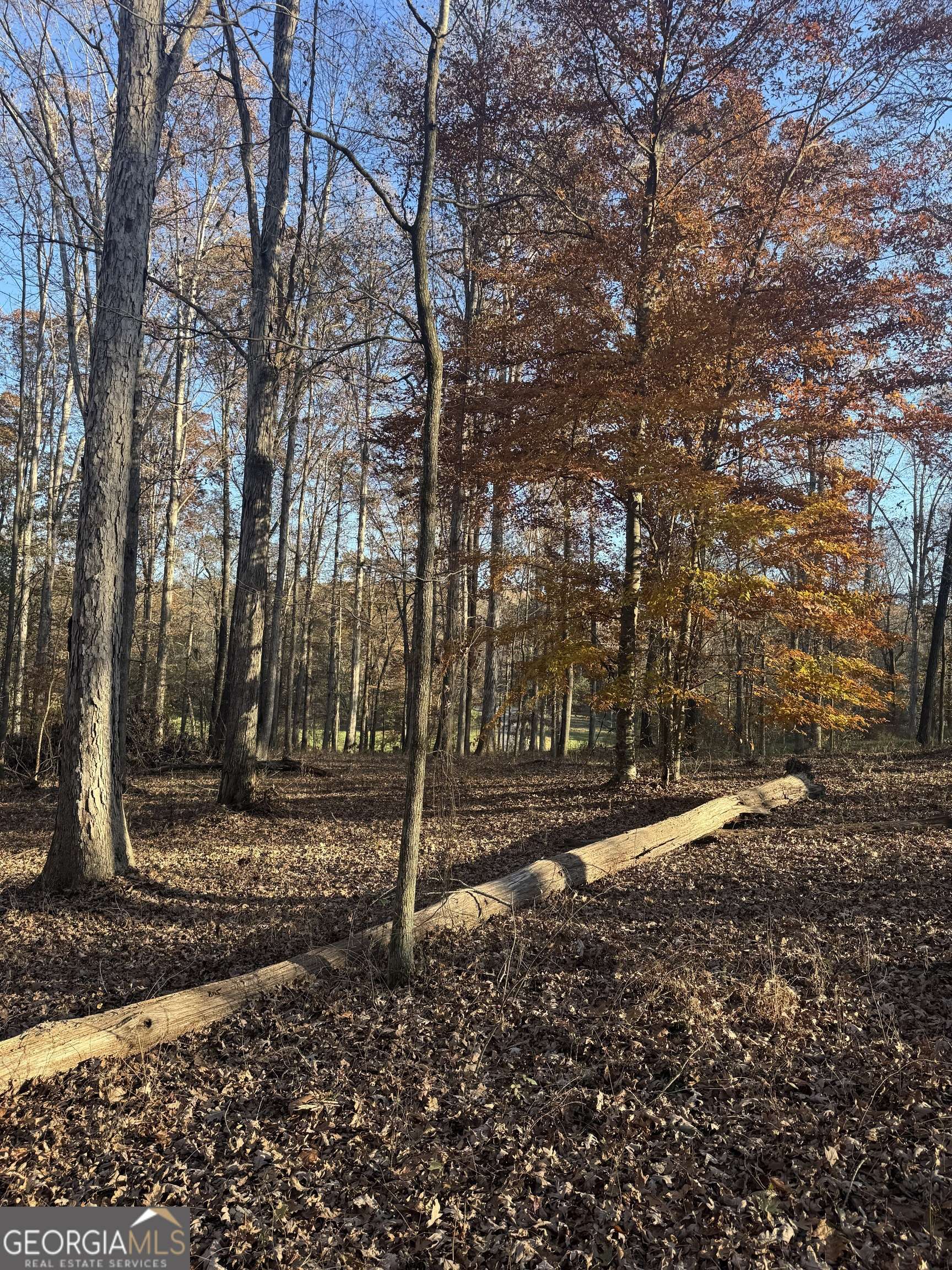 Statham, GA 30666,1475 Whispering Way