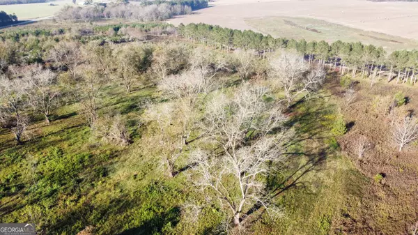 Elko, GA 31025,10 N County Line RD