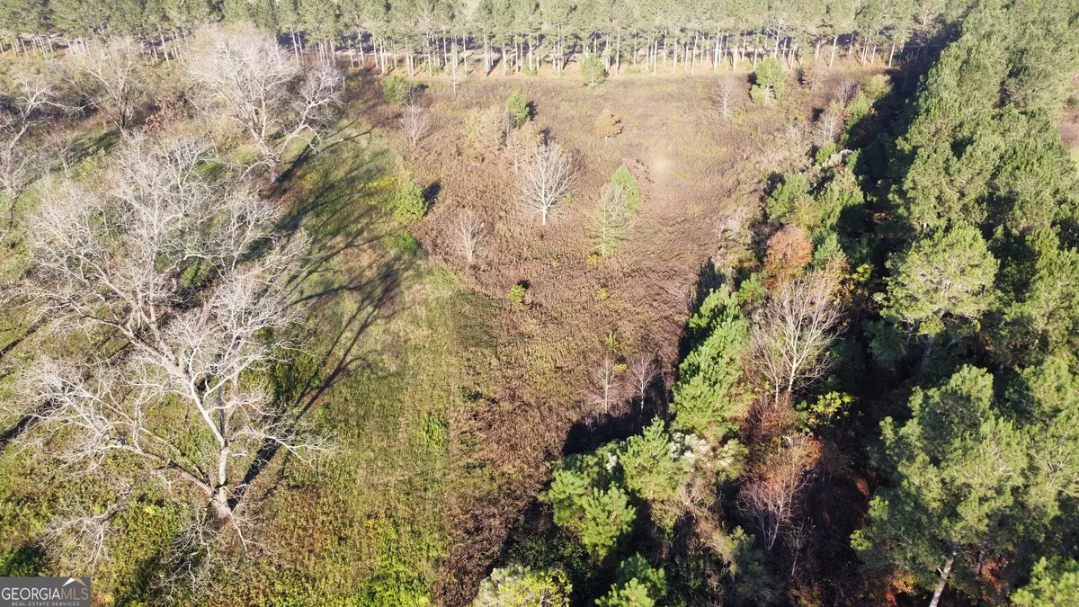 Elko, GA 31025,10 N County Line RD