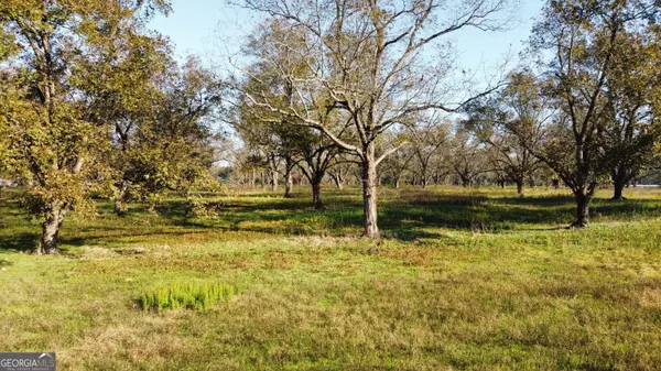 Elko, GA 31025,10 N County Line RD