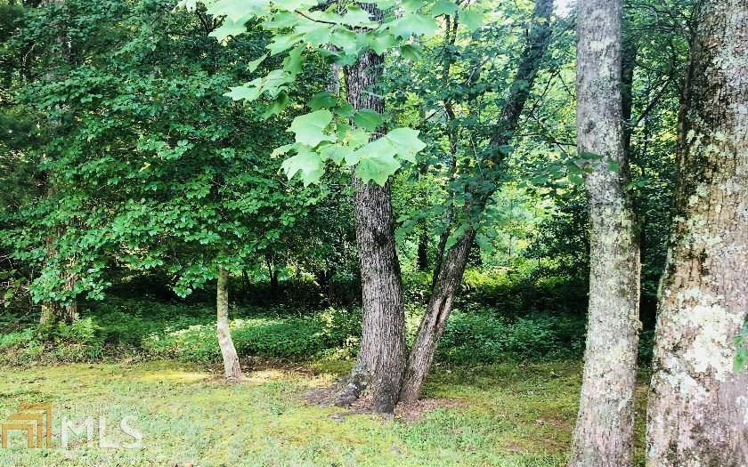 Hiawassee, GA 30546,0 Hi River Country #98,99