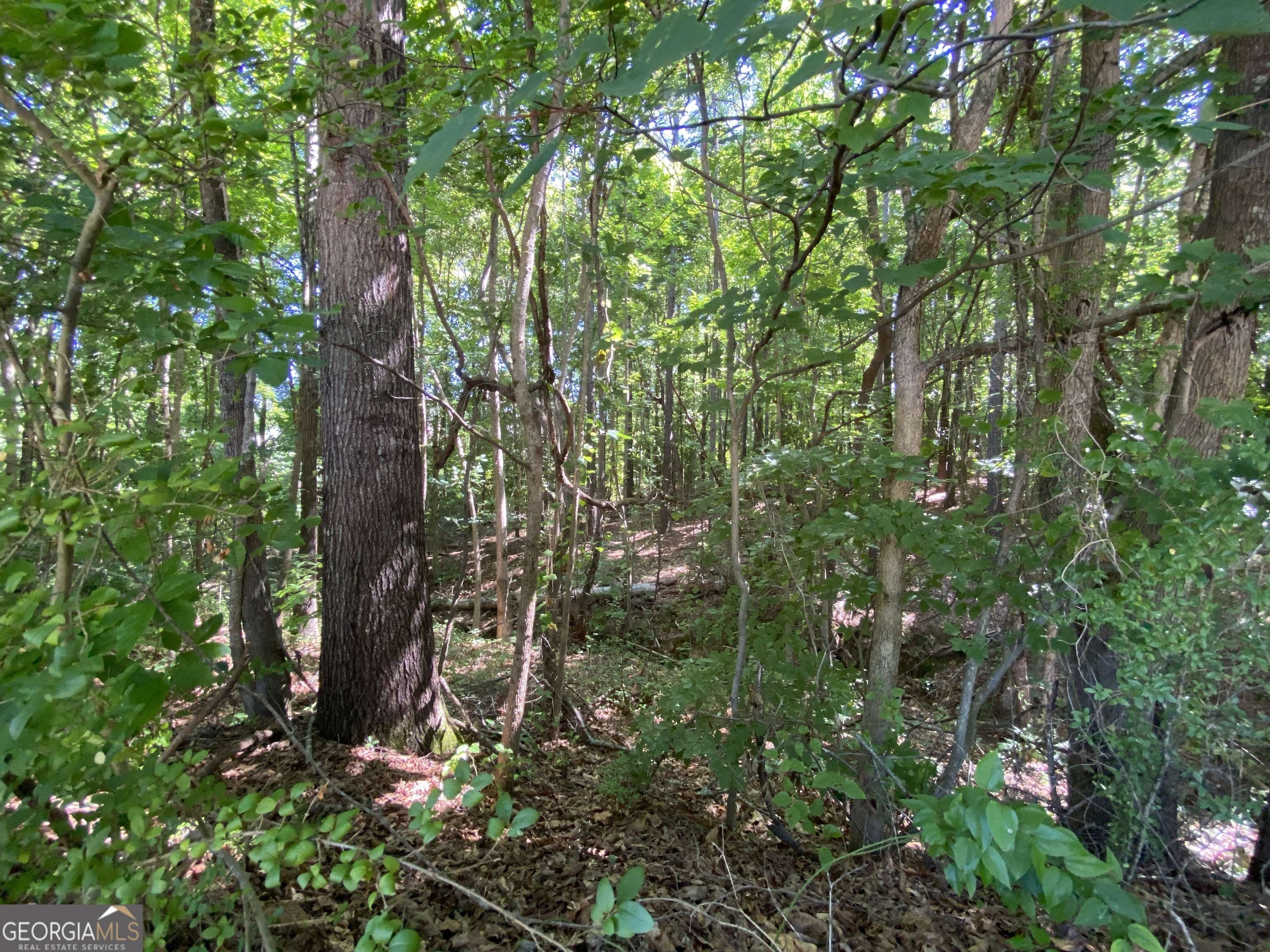 Carrollton, GA 30116,118 National WAY
