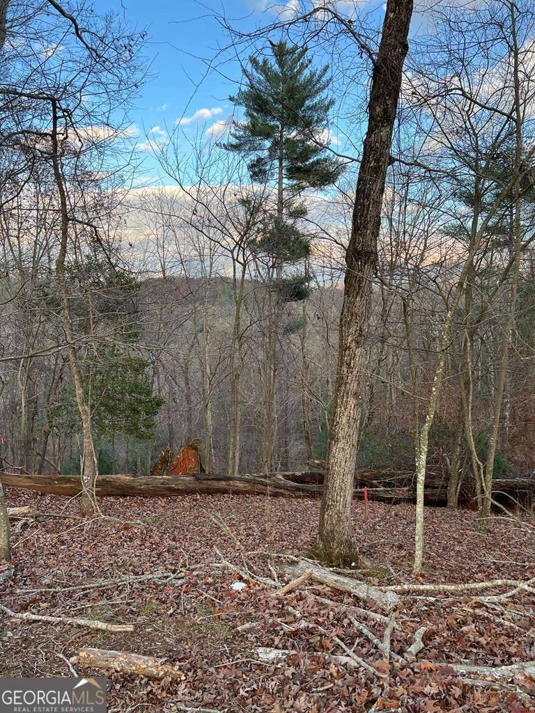 Ellijay, GA 30540,LOT 402 Crown CT