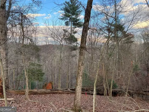 LOT 402 Crown, Ellijay, GA 30540