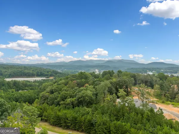 Ellijay, GA 30540,34 Pinnacle WAY