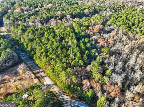 Monticello, GA 31064,LOT 122 Tamarack Road