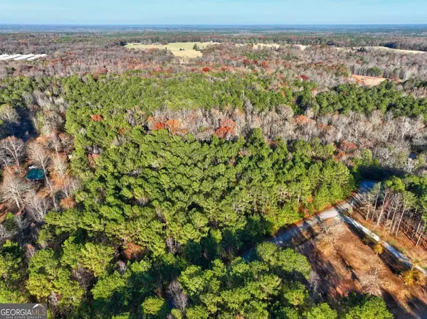 Monticello, GA 31064,LOT 122 Tamarack RD
