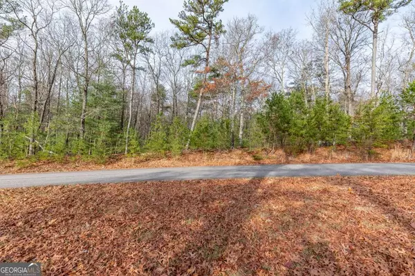 Blairsville, GA 30512,LOT 44 Sharp Top #44