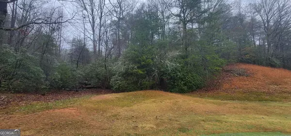 LOT 97 Zeppelin Strasse, Helen, GA 30545