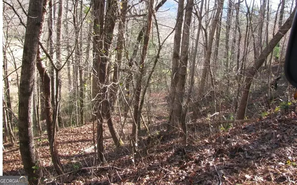 Young Harris, GA 30582,#39 Pinecrest RD