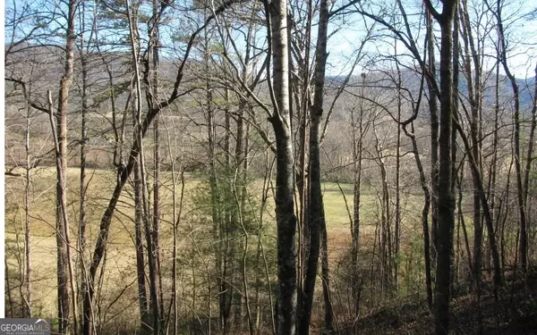 #39 Pinecrest Road, Young Harris, GA 30582