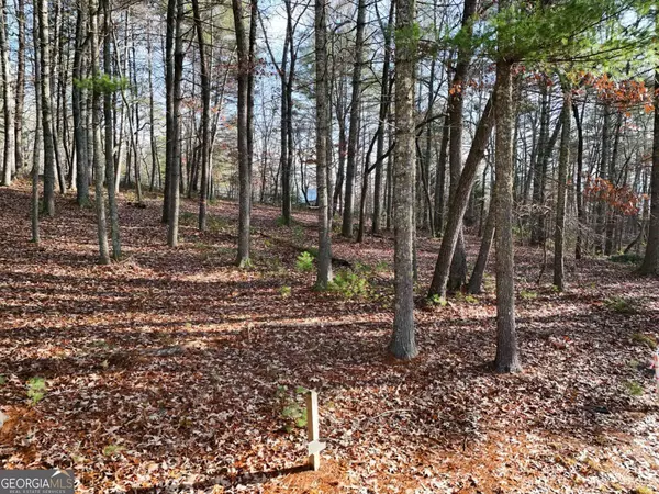 Blairsville, GA 30512,LOT 20 Fox