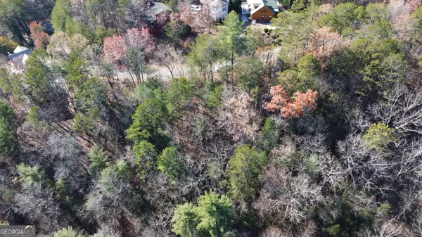 LOT 141 Rosen Strasse, Helen, GA 30545