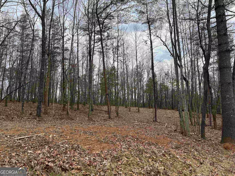 LOT 108 Sautee Trace, Clarkesville, GA 30523