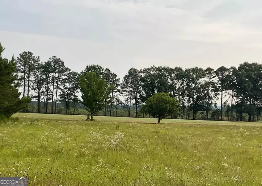 38 & 39 Crabapple DR, Hawkinsville, GA 31036