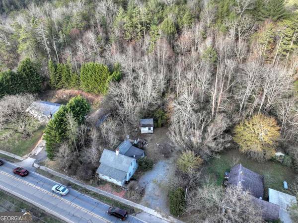 Mineral Bluff, GA 30559,8679 Lakewood