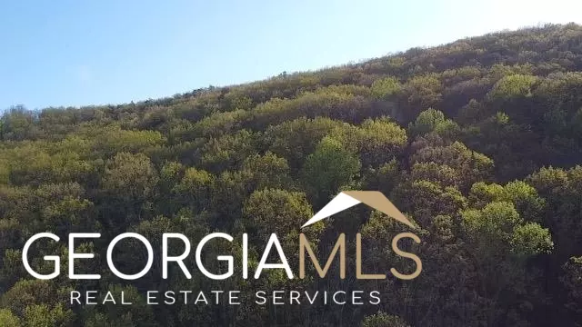 Ellijay, GA 30540,172 Trailwood DR