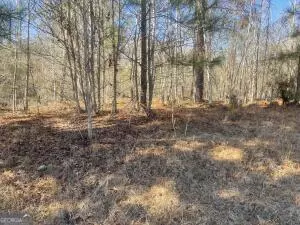 Warrenton, GA 30828,LOT 8 Black Pearl