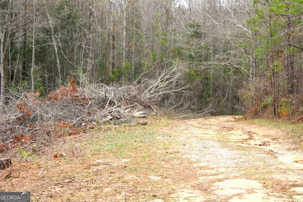 Cusseta, GA 31805,0 Sunset BLVD