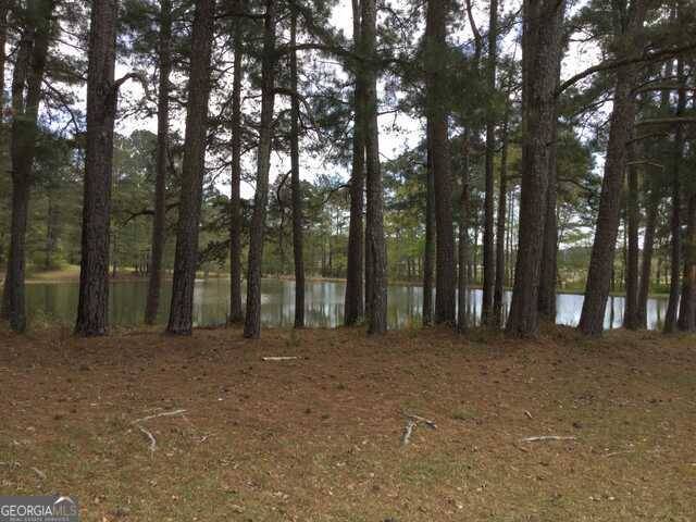 Fayetteville, GA 30214,1305 & 1307 Hwy 54 East
