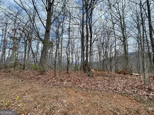Hayesville, NC 28904,#114 Eagles View