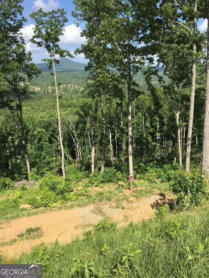 Blairsville, GA 30512,0 Ridge Pointe WAY #369