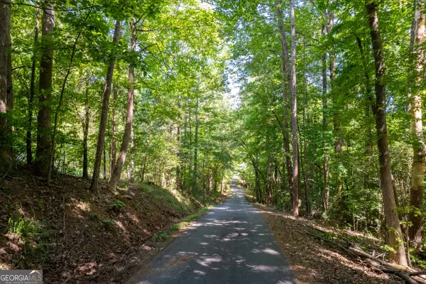 0 Brittany Cove CIR, Lavonia, GA 30553