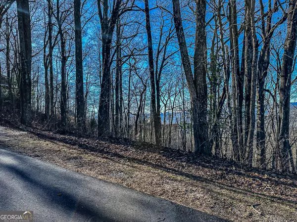 Sky Valley, GA 30537,LOT 18 Wild Bird Way