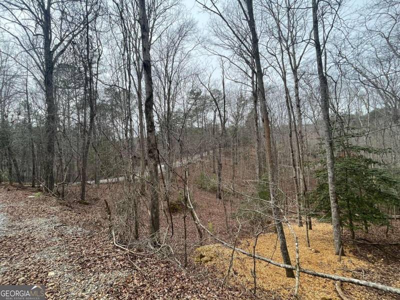 LOT 618 Charity, Ellijay, GA 30540