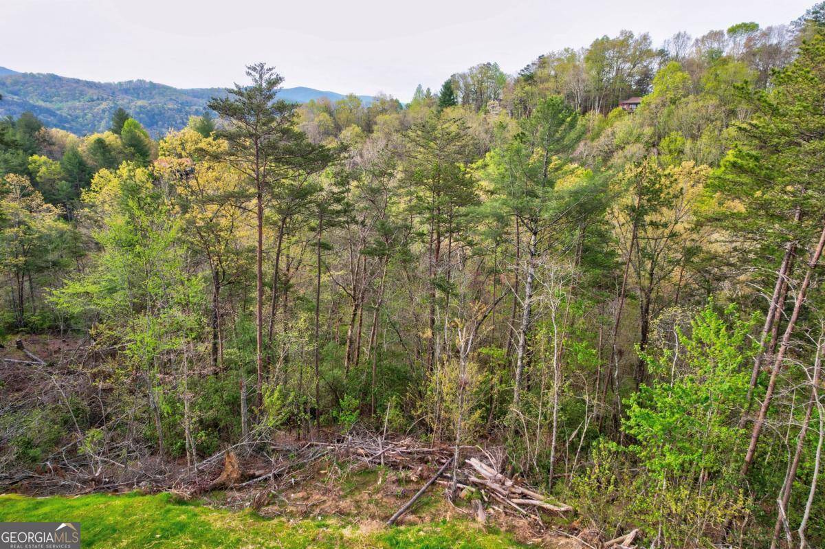 Blue Ridge, GA 30513,LOT 53 Community Hill DR #53