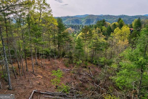 LOT 53 Community Hill DR #53, Blue Ridge, GA 30513