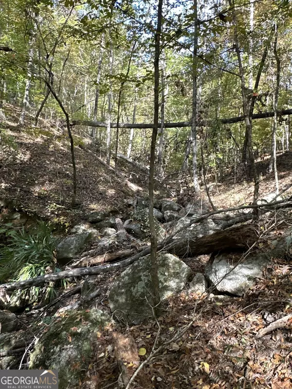 Talbotton, GA 31827,TRACT 3 Dennis Creek RD