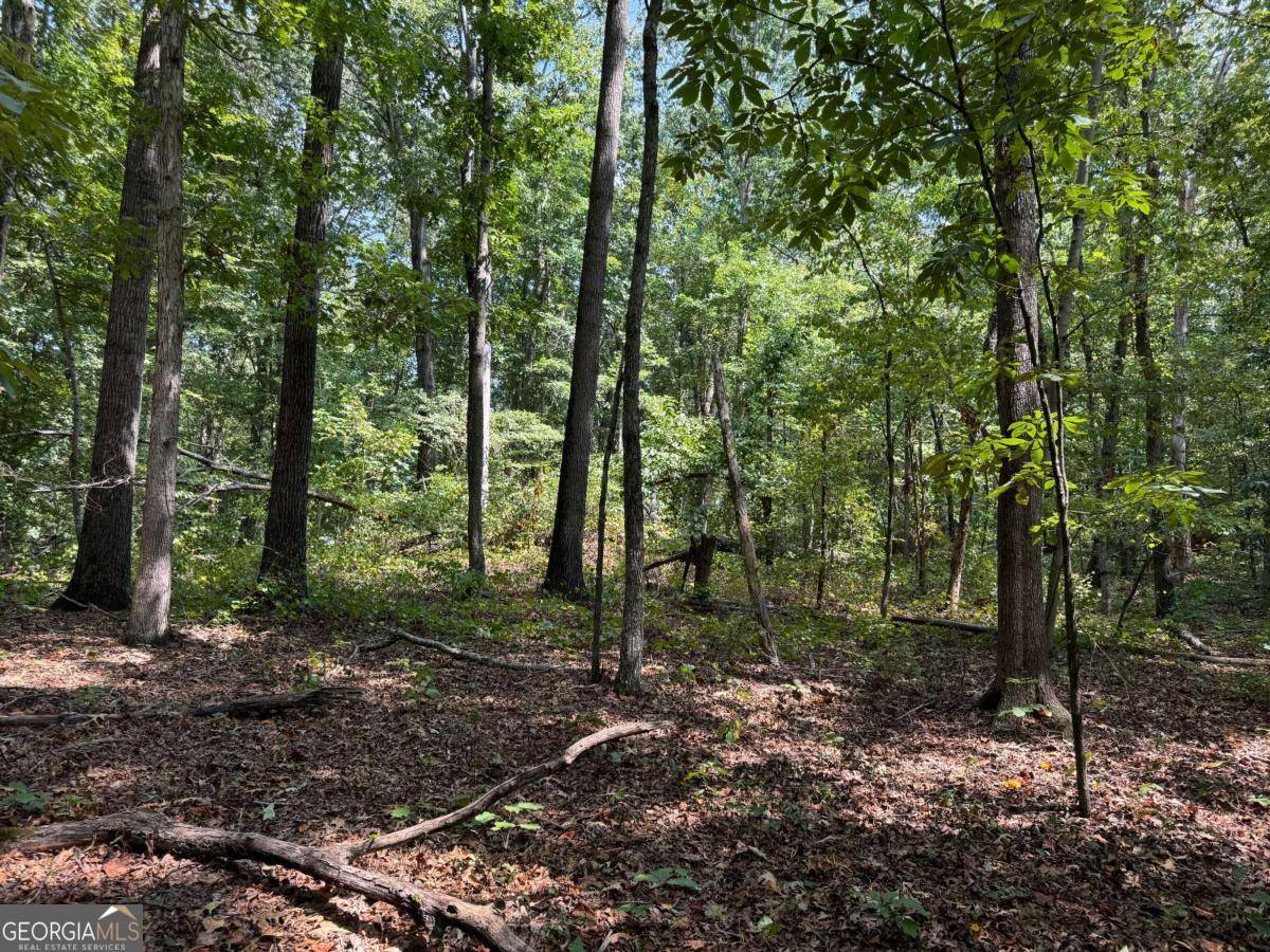 348 Pat Rich DR, Canton, GA 30115