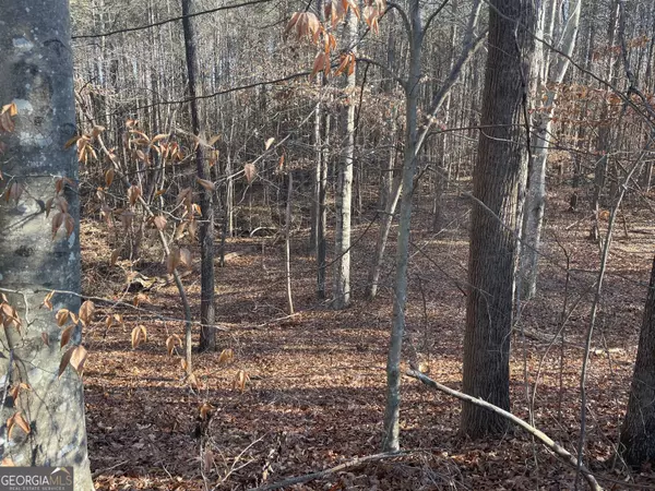 0 Camp RD, Eastanollee, GA 30538