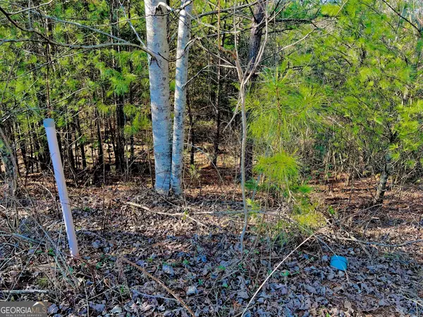 LOT 14 Valley CT, East Ellijay, GA 30540