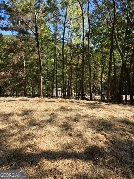 29 Treetopper LN, Big Canoe, GA 30143