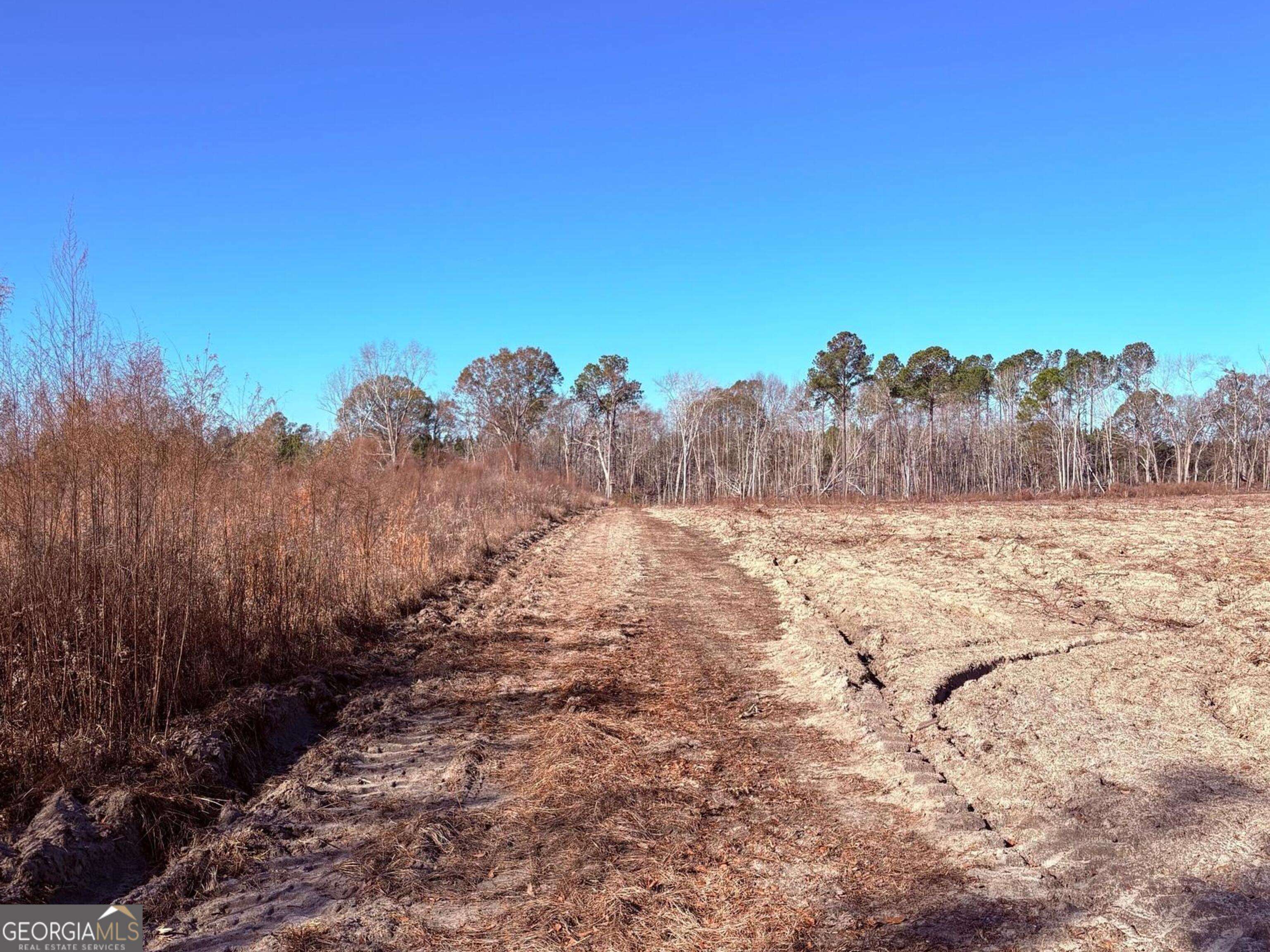 Sylvania, GA 30467,0 Bradwell RD