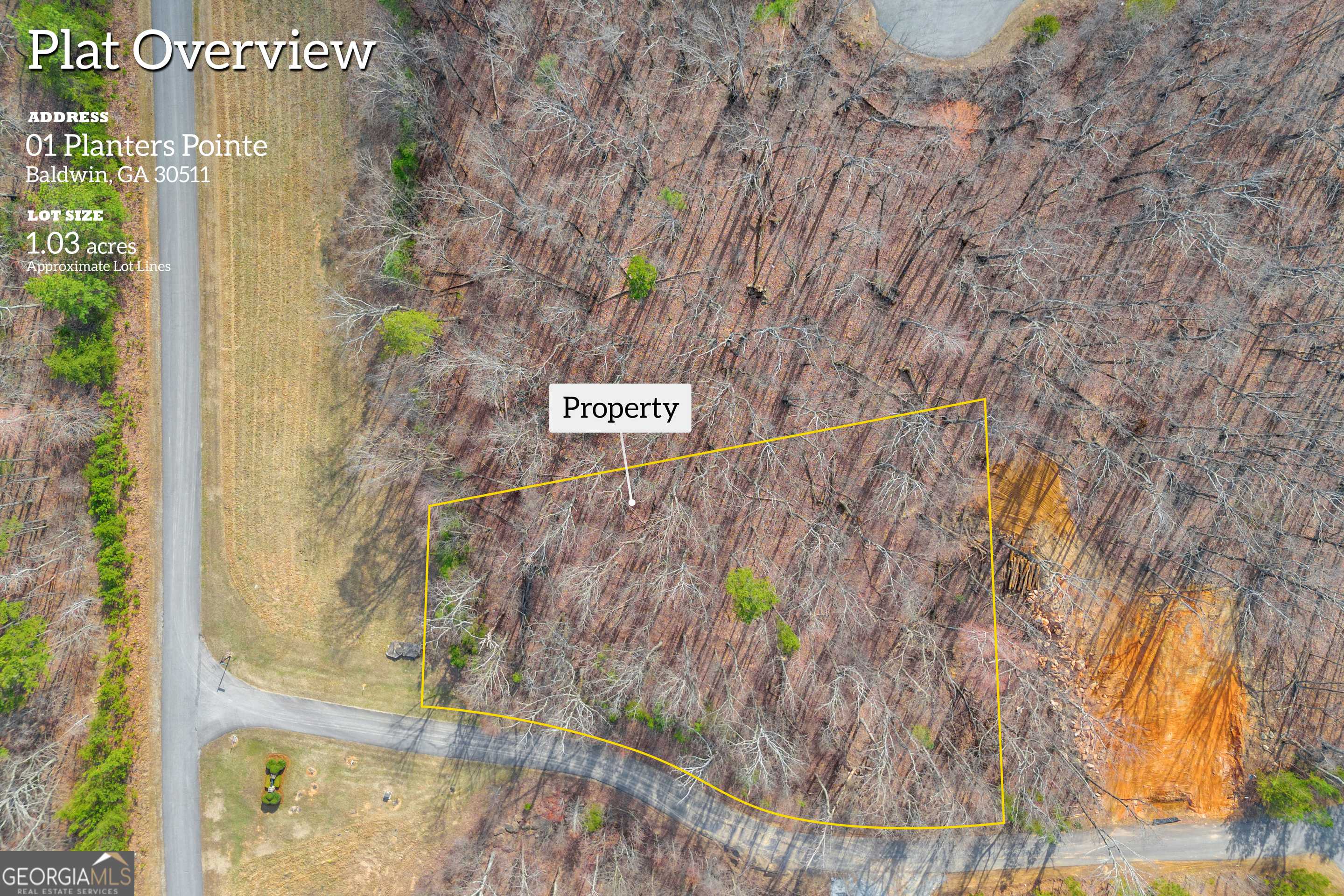 Baldwin, GA 30511,01 Planters Pointe DR